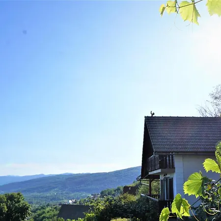 Дом отдыха Vineyard Zajc *