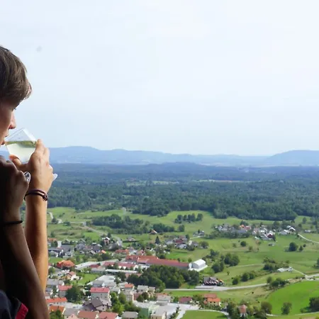 Дом отдыха Vineyard Zajc