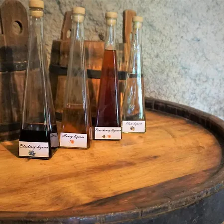 Vineyard Zajc Дом отдыха *