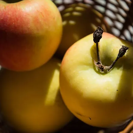Vineyard Zajc Сasa de vacaciones