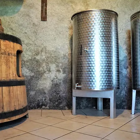 Vineyard Zajc Дом отдыха Semic