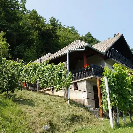 Vineyard Zajc Сasa de vacaciones Semic