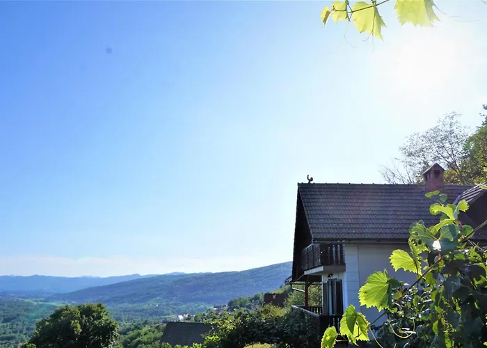 Prázdninový dům Vineyard Zajc *