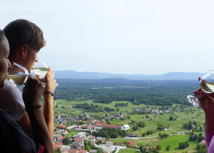 Prázdninový dům Vineyard Zajc