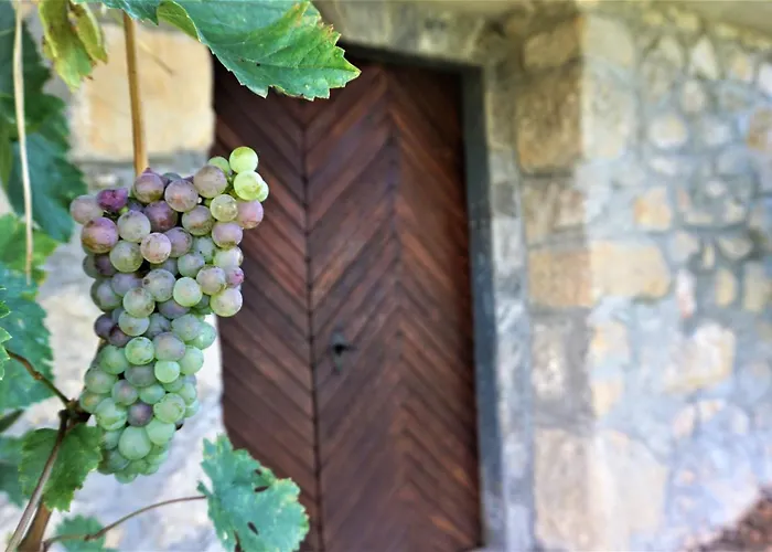Prázdninový dům Vineyard Zajc