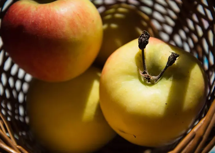 Vineyard Zajc Prázdninový dům
