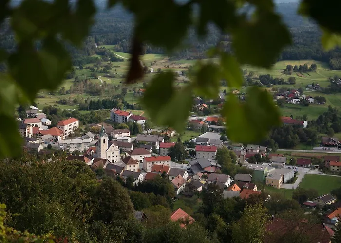 Vineyard Zajc Prázdninový dům Semic
