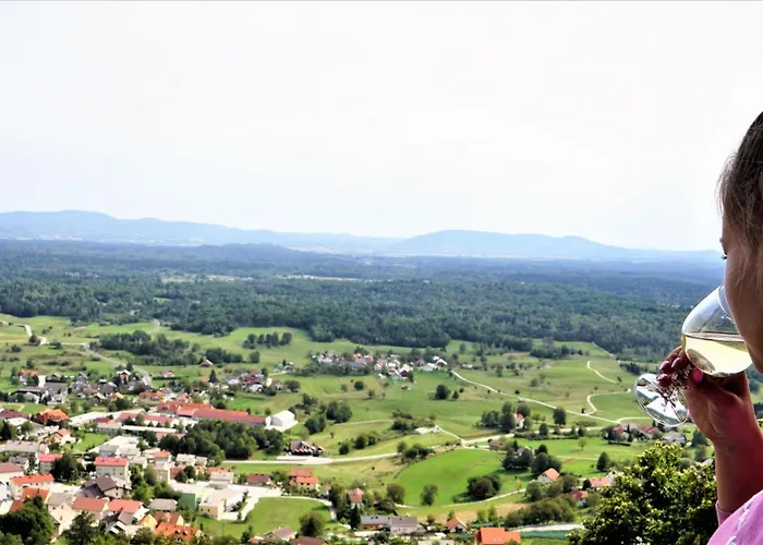 Vineyard Zajc Prázdninový dům Semic
