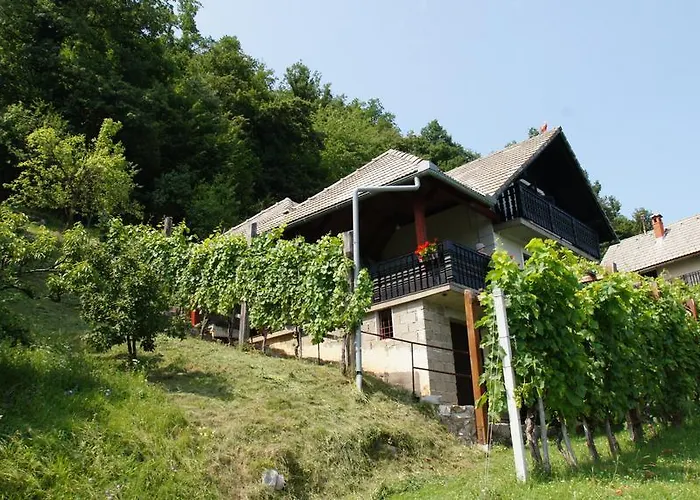 Vineyard Zajc Prázdninový dům Semic